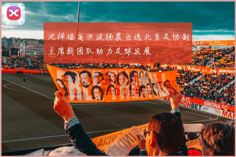 沈祥福高洪波杨晨当选北京足协副主席新团队助力足球发展
