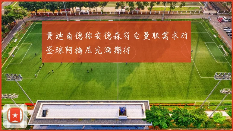 费迪南德称安德森符合曼联需求对签琼阿梅尼充满期待